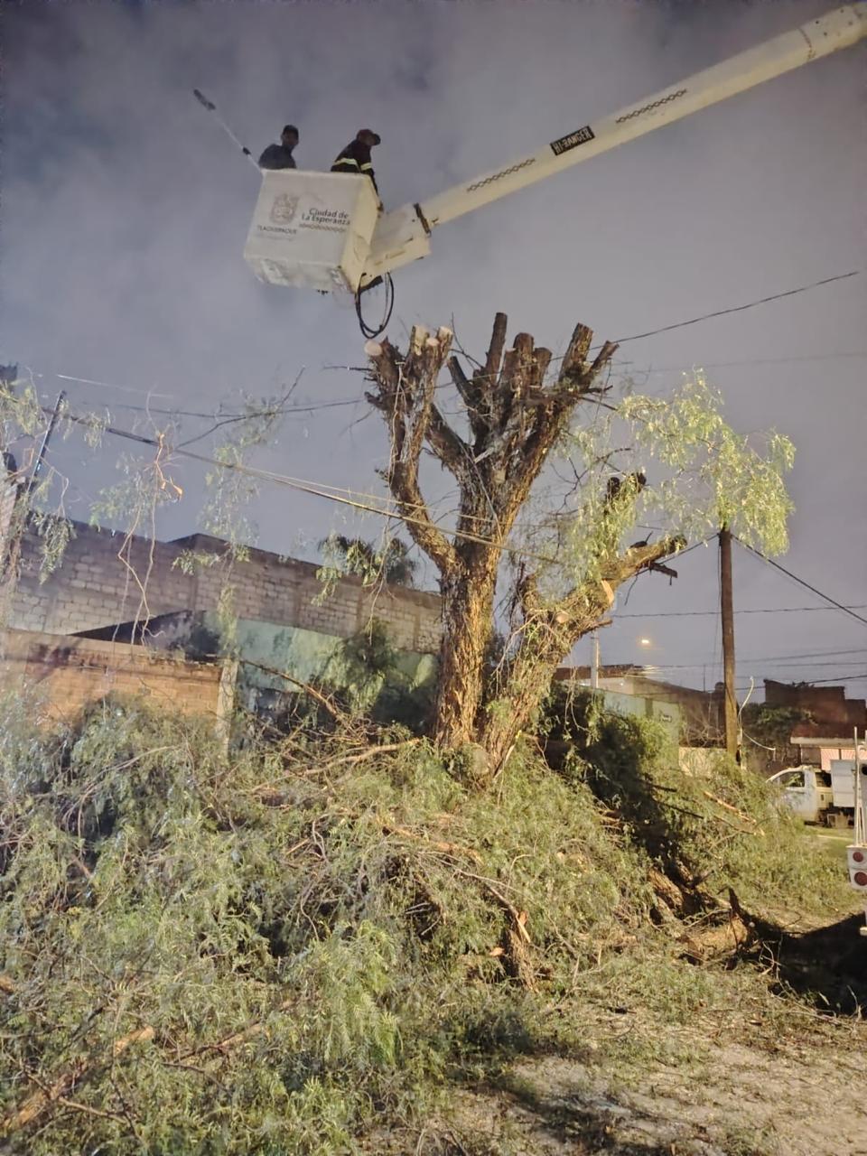 TLAQUEPAQUE REALIZA OPERATIVO PARA EL RETIRO DE ÁRBOLES SECOS O EN RIESGO, EN EL MUNICIPIO